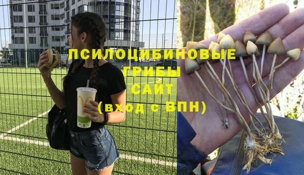 МДПВ Абинск