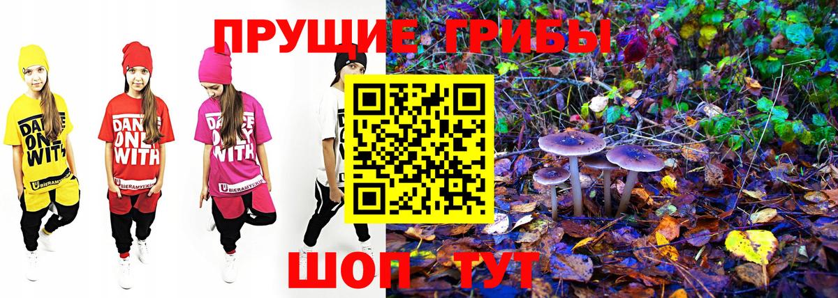 Алапаевск  Галлюциногенные грибы GOLDEN TEACHER  Вход с VPN 